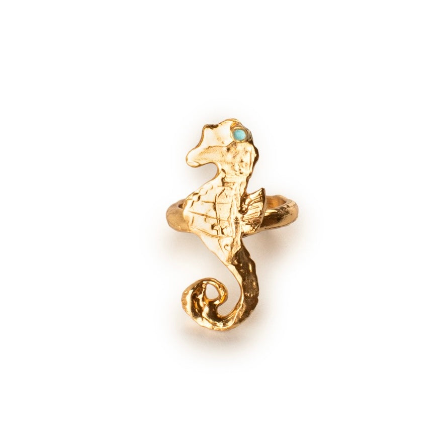 Anello Ippocampo Vover