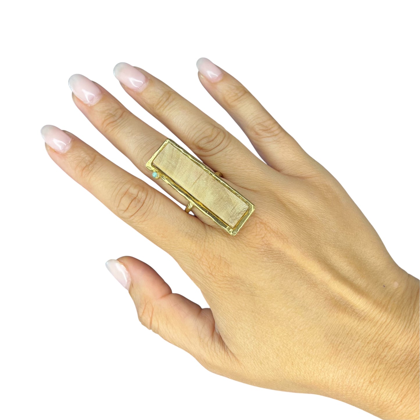 Anello legno del mare