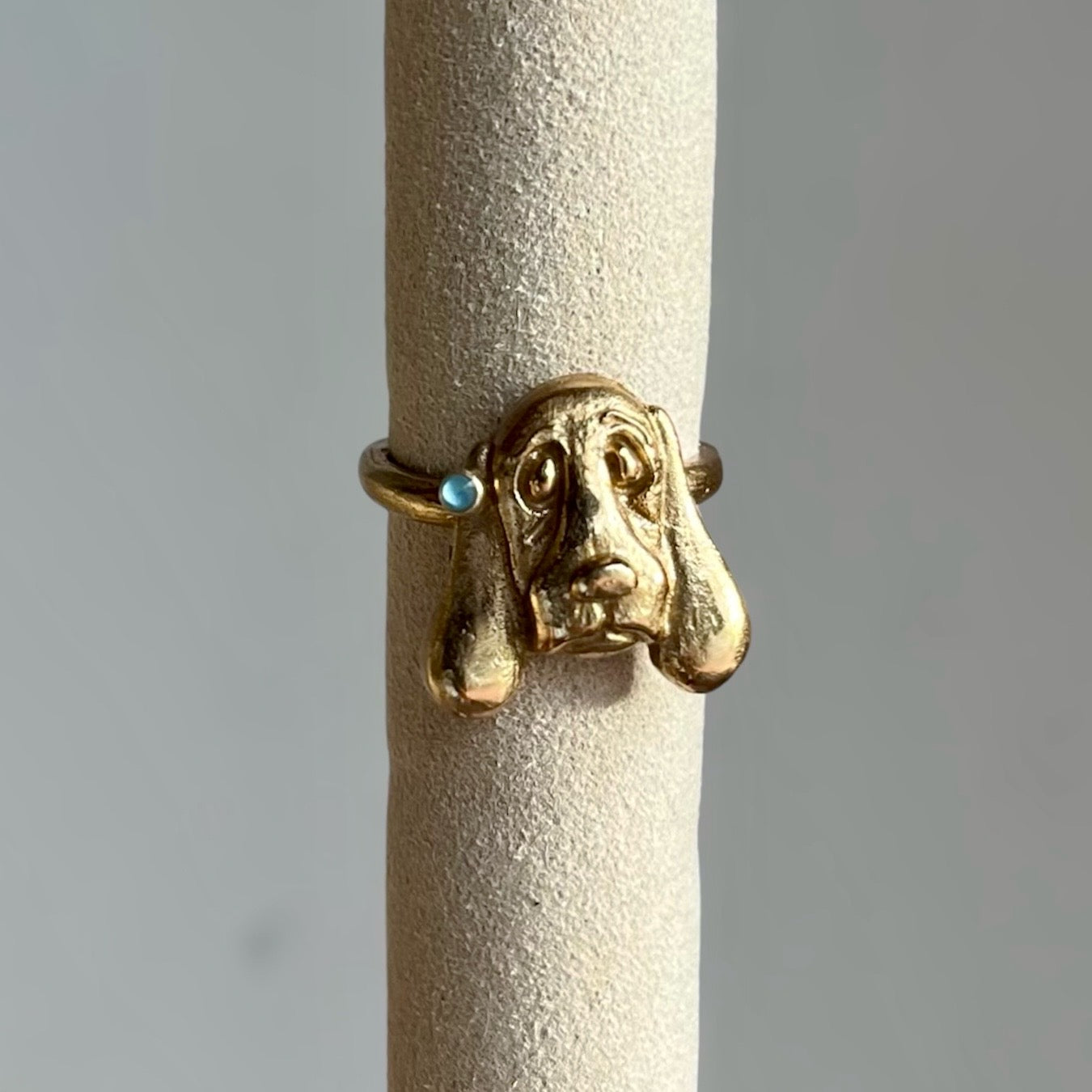 Anello cagnolini