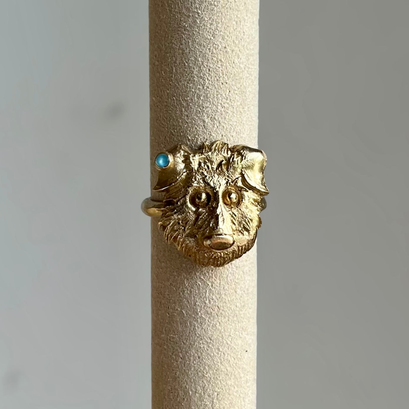 Anello cagnolini