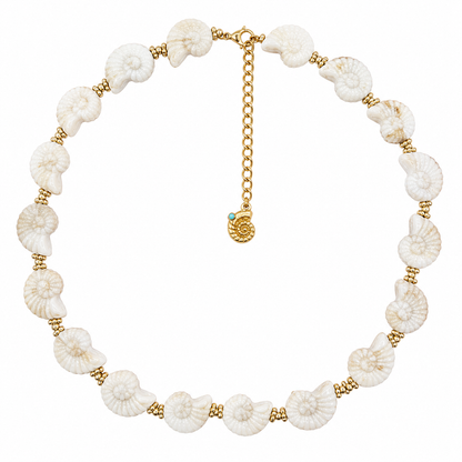 Collana conchigliette