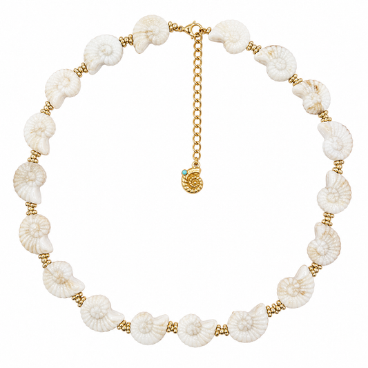 Collana conchigliette