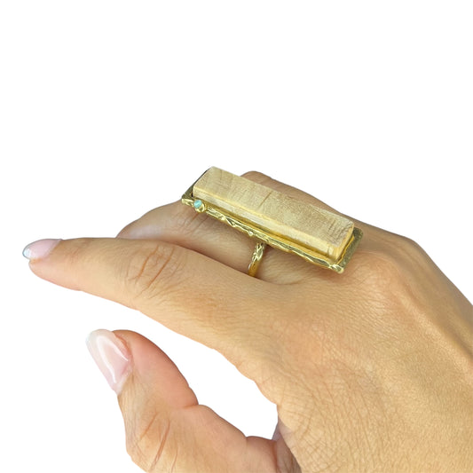 Anello legno del mare